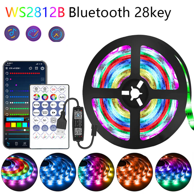 10M 20M LED Strip Lights RGB 5050/RGBIC WS2812B Infrared Bluetooth Ontroller TV Backlight Room Luces Luminous Decorate Fita Lamp